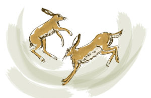 Dancing Hares Illustration